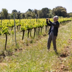  Weingut Mas Oller mit seinen 5 hervorragenden Weinen, vom Tramontana Wind geprägt, steht ganz oben auf unserer Liste