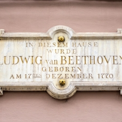 Beethoven - Sohn der Stadt und Namensgeber des Festivals