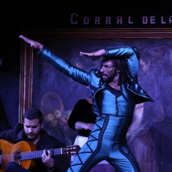 Feuriger Abend auf der besten Flamenco Bühne der Welt