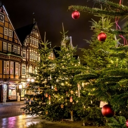 Stadtspaziergang durch das romantische Celle und Bummel über den Weihnachtsmarkt